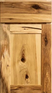 Door preview